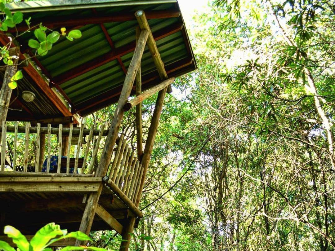 Waterbessiebos Cottage Tzaneen Exterior foto